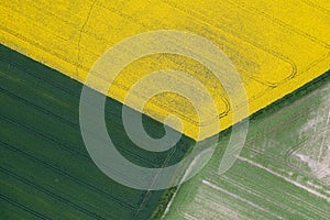 Aerial top down view of fields of green grain, yellow colza flowers and ploughed soil