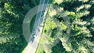 Aerial top down view of a fir tree forest and European rural car road