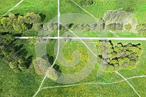 Aerial top down view on a footpaths junction in a green park