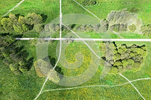 Aerial top down view on a footpaths junction in a green park photo