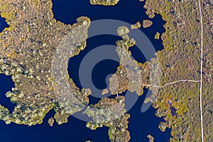 Aerial top down view over peat-bog landscape with lake and pool patterns