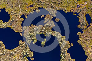 Aerial top down view over peat-bog landscape with lake and pool patterns