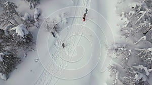 Aerial top down view of people walking in winter forest. Clip. Concept of hiking and active lifestyle.