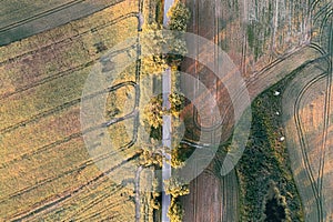 Aerial top down view of a rural road between fields