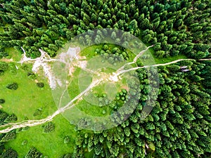 Aerial top down view to forest, trees and tourist paths in Slovakia national park Mala Fatra. Vibrant colors, fresh nature and