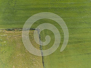 Aerial top down view of two agricultural fields with different colors and tractor tracks