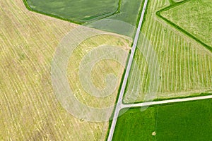 Aerial top view of agricultural fields with different crops