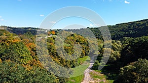 Aerial top view of autumn pine forest. Drone photography