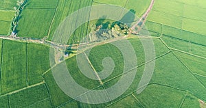 Aerial top view of beautiful fields in Chiang Rai area