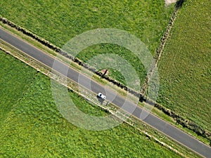 Aerial top view of a car on the road in a green field in the countryside