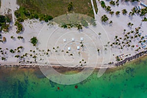 aerial top view of coastline along a tropical white sand beach with palms, sun lounger and paraso photo