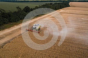 Aerial top view of combine harvester working on wheat field