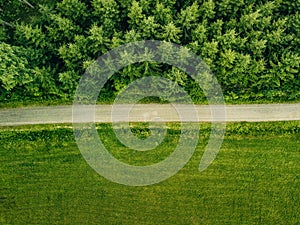 Aerial top view of a country road through a fir forest and a green field in summer