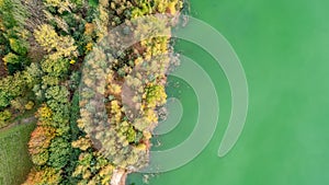 Aerial top view of country road in green fall forest and blue lake. Rural landscape in Belgium. Drone photography from