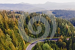 Aerial top view of curvy mountain road goingthroughthe pine forest