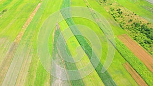 Aerial top view of a different agriculture fields in countryside on a spring day. Drone shot