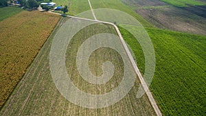 Aerial top view of a different agriculture fields in countryside on a spring day. Drone shot Top view of corn field.