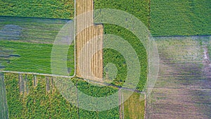 Aerial top view of a different agriculture fields in countryside on a spring day. sugar cane farm. sugar canefields view from the