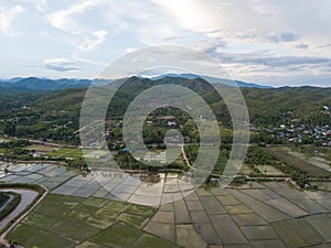 Aerial Top view from drone of the beautiful paddy fields with velvet green young sprouts in Balinese village. The traditional