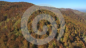 Aerial, top view from Drone: flying over the mountain with forest and river.