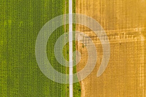 Aerial top view drone photography of a land with sown green fields in countryside