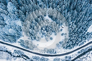 Aerial top view drone shot of the pine and spruce trees forest covered with snow in the Tatra Mountains in Slovakia with a