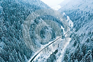 Aerial top view drone shot of the pine and spruce trees forest covered with snow in the Tatra Mountains in Slovakia with a