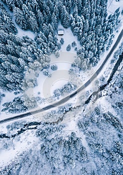 Aerial top view drone shot of the pine and spruce trees forest covered with snow in the Tatra Mountains in Slovakia with a