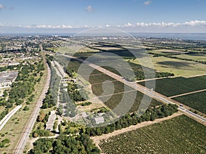 Aerial top view from drone to vineyard