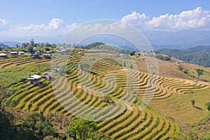 Aerial top view of dry paddy rice terraces, green agricultural fields in countryside, mountain hills valley in Asia, Pabongpieng,