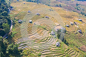 Aerial top view of dry paddy rice terraces, green agricultural fields in countryside, mountain hills valley in Asia, Pabongpieng,