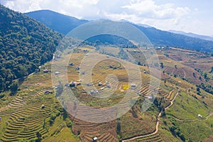 Aerial top view of dry paddy rice terraces, green agricultural fields in countryside, mountain hills valley in Asia, Pabongpieng,