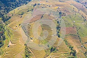 Aerial top view of dry paddy rice terraces, green agricultural fields in countryside, mountain hills valley in Asia, Pabongpieng,