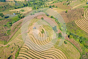 Aerial top view of dry paddy rice terraces, green agricultural fields in countryside, mountain hills valley in Asia, Pabongpieng,