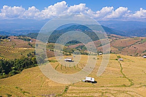 Aerial top view of dry paddy rice terraces, green agricultural fields in countryside, mountain hills valley in Asia, Pabongpieng,