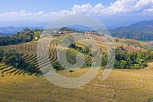 Aerial top view of dry paddy rice terraces, green agricultural fields in countryside, mountain hills valley in Asia, Pabongpieng,
