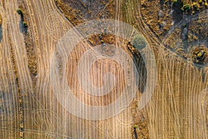 Aerial top view of a field landscape in Extremadura, Spain photo