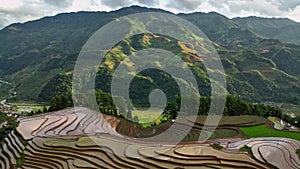 Aerial top view flying over terraced rice fields, Mu Cang Chai, Yen Bai, Vietnam