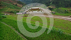 Aerial top view flying over terraced rice fields, Mu Cang Chai, Yen Bai, Vietnam