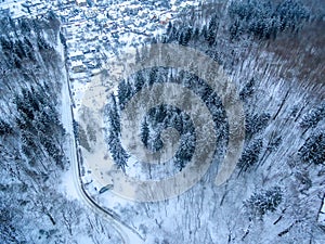 Aerial top view of forest and detached houses in winter