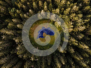 Aerial top view forest tree. Rainforest ecosystem. Drone photography. Lake in the middle of the forest. Slovakia.