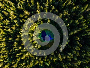 Letecký pohľad zhora na lesný strom. Ekosystém dažďového pralesa. Fotografovanie dronom. Jazero uprostred lesa. Slovensko.