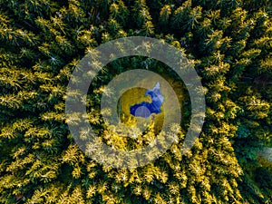 Letecký pohľad zhora na lesný strom. Ekosystém dažďového pralesa. Fotografovanie dronom. Jazero uprostred lesa. Slovensko.