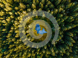 Letecký pohľad zhora na lesný strom. Ekosystém dažďového pralesa. Fotografovanie dronom. Jazero uprostred lesa. Slovensko.