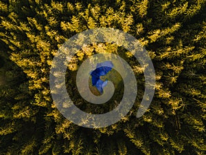 Letecký pohľad zhora na lesný strom. Ekosystém dažďového pralesa. Fotografovanie dronom. Jazero uprostred lesa. Slovensko.