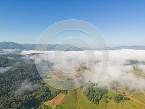 Aerial top view of forest trees and green mountain hills with sea fog, mist and clouds. Nature landscape background, Thailand