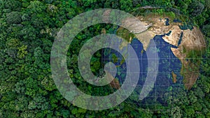 Aerial top view of green forest tree and global globe, Tropical rain forest tree ecosystem and healthy environment, Texture and