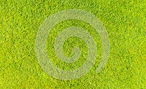 Aerial top view of green fresh summer lawn in park. natural textured background. Top view from drone. Green grass pattern and text