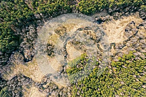 Aerial top view of green pine forest landscape and winding river. spring landscape