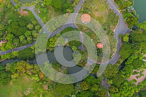 Aerial top view of green trees in Lumpini park garden and reflection. Green eco area in smart urban city at noon, Bangkok,